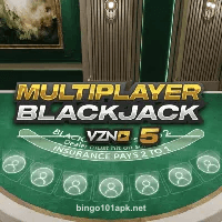 Blackjack VZN 5